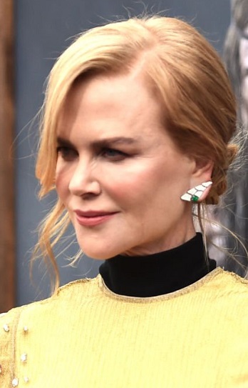 Nicole Kidman's Formal Updo - 20220418