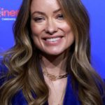 Olivia Wilde's Long Curled Hairstyle - 20220426