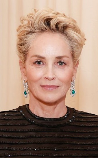 10 Fashion Tricks That Help Sharon Stone Remain a Style Icon at 64 / Bright  Side