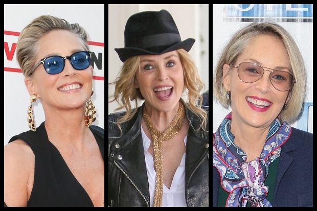Sharon Stone Hairstyle Photos Feature