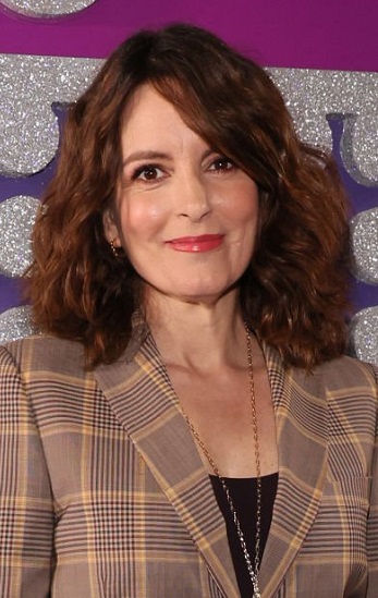 Tina Fey's Shoulder Length Beach Waves Hairstyle - 20220501