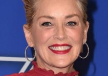 Fans Not Sure About Sharon Stone’s Odd Short Stiff Hairstyle – 75th Annual Golden Globe Nominations Announcement