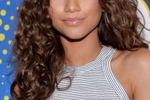 Zendaya – Long Curly Hairstyle – 2016 Essence Street Style Block Party