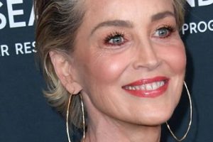 Sharon Stone – Short Brushed-Back Hairstyle (2023) – The Women’s Cancer Research Fund’s An Unforgettable Evening Benefit Gala