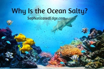 Why Is the Ocean Salty?